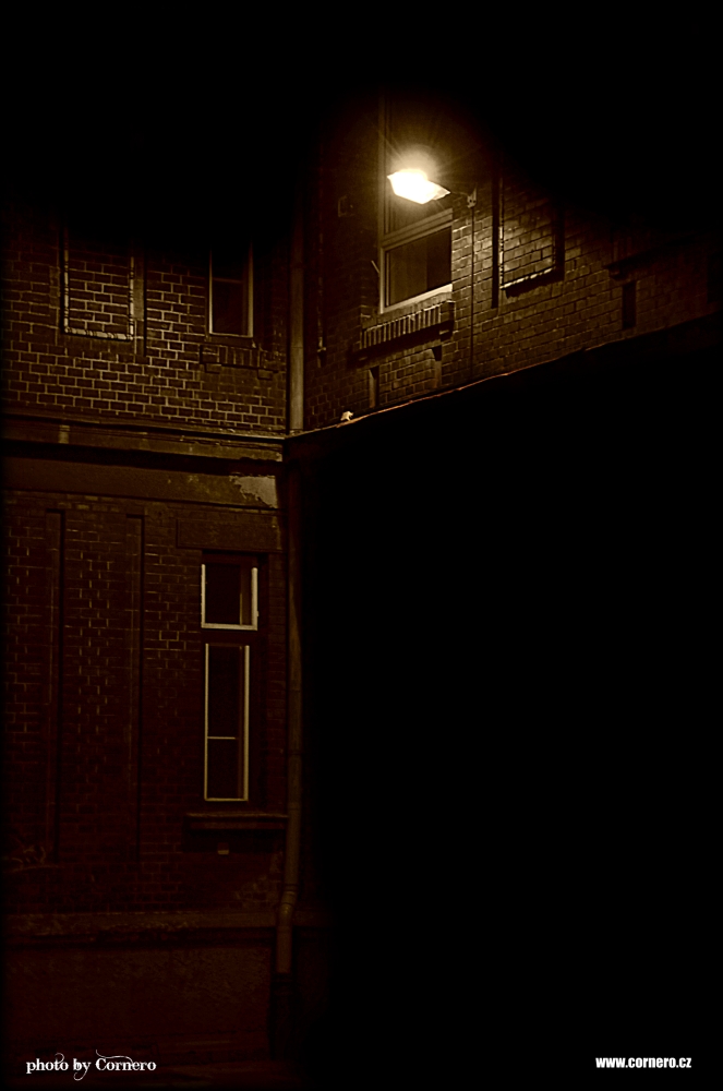 COR_1980