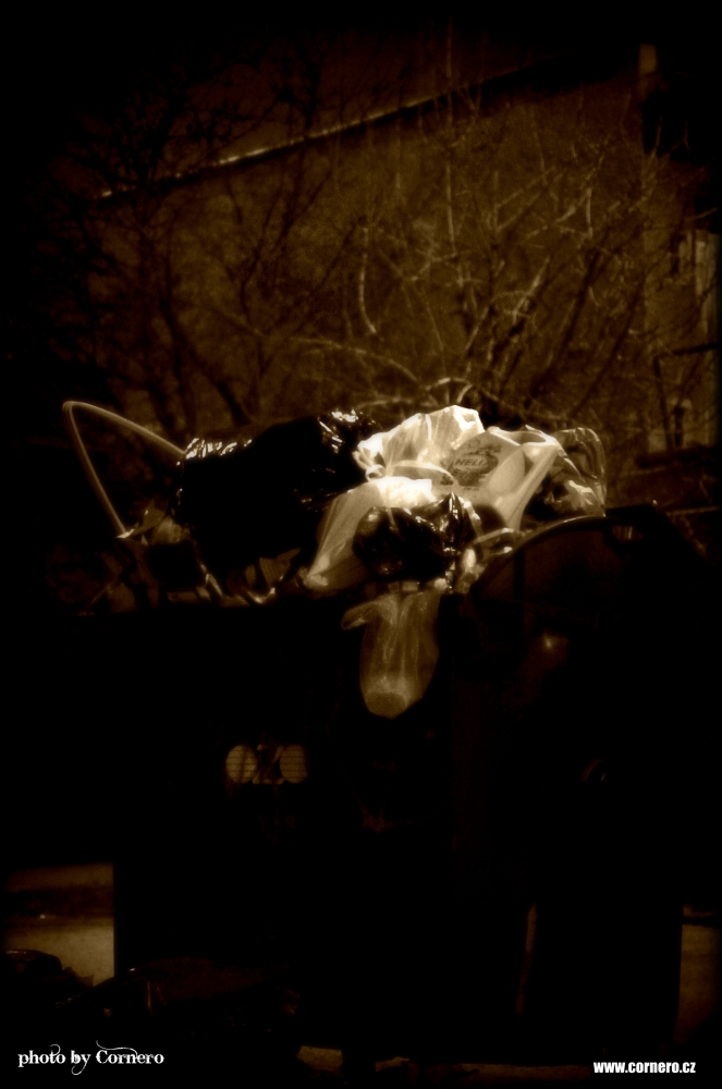 COR_2013_01