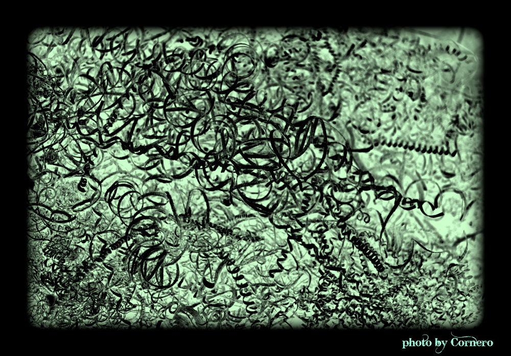 Virus